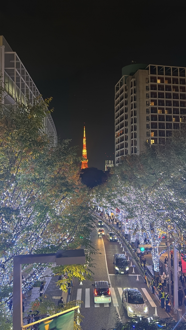 気分転換✨ჱ̒ ᴗ ·̫ ᴗ )♩画像