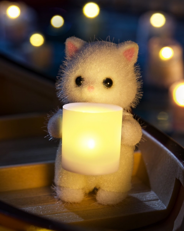 今週末✨✨画像