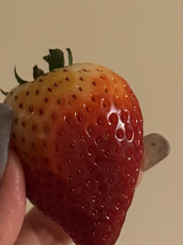 ちょっと悲しいお知らせ画像