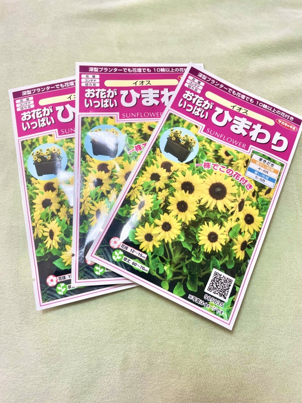 ひまわりの種🌻画像