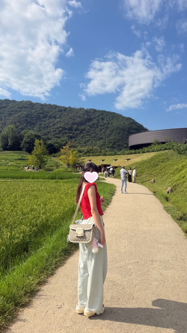 夏休み日記画像