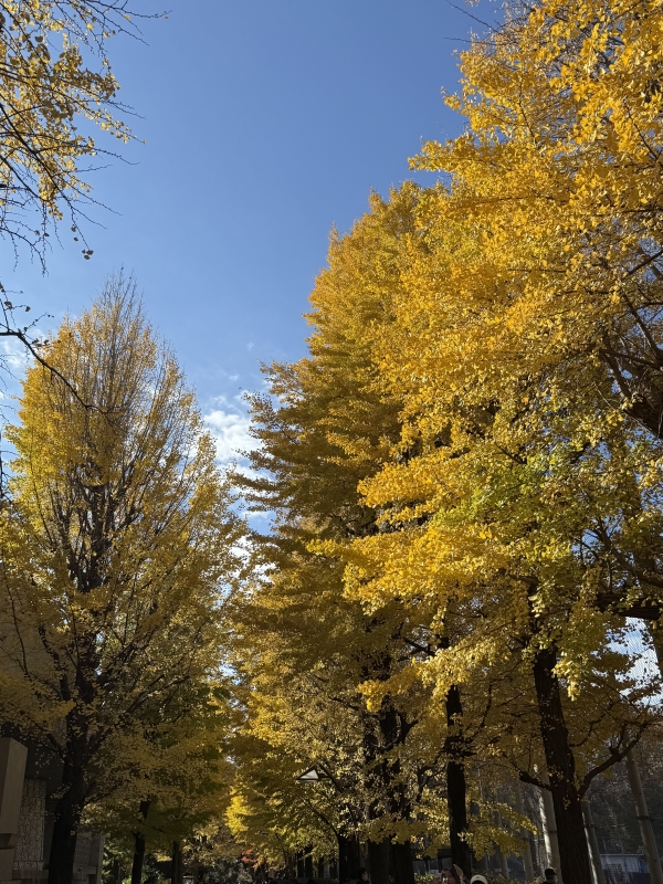 はじめまして♡画像