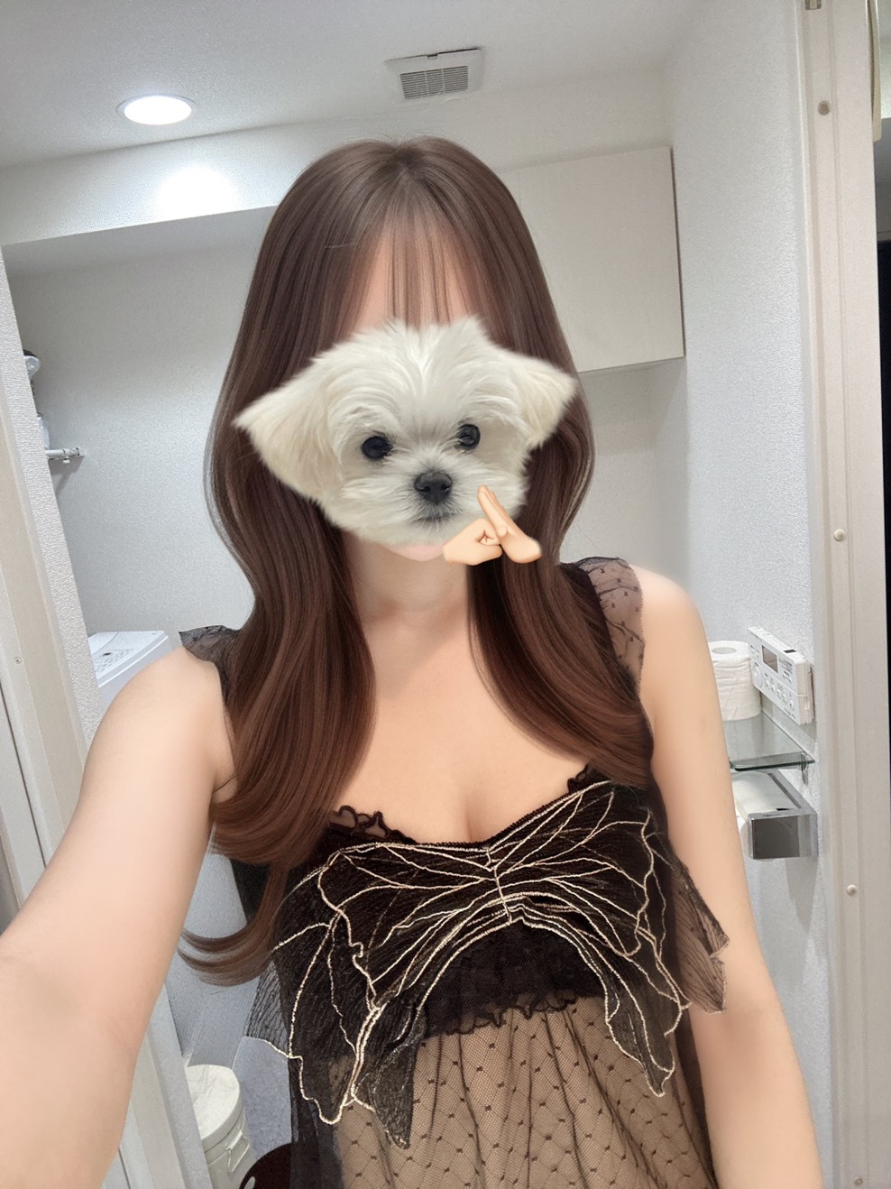 ギャラリー1
